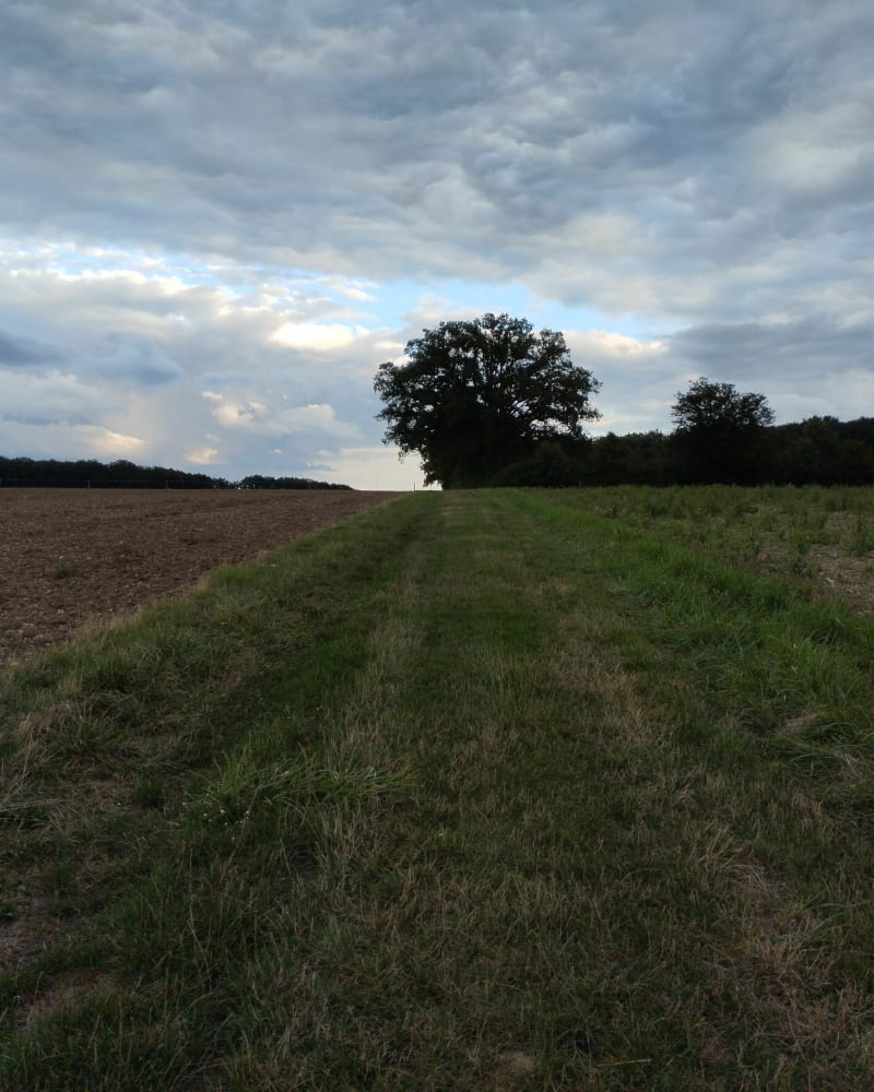 Balade à Luzillé - Luzillé