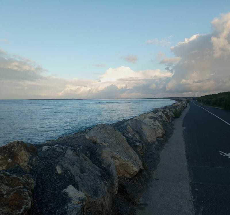 Du camping des Pinèdes à Saint-Palais-sur-mer par la côte - Les Mathes