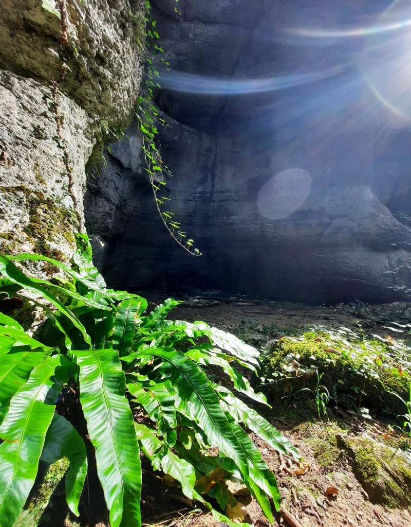 Château et Fontaine du Vieil Homme Eternel - La Sure en Chartreuse