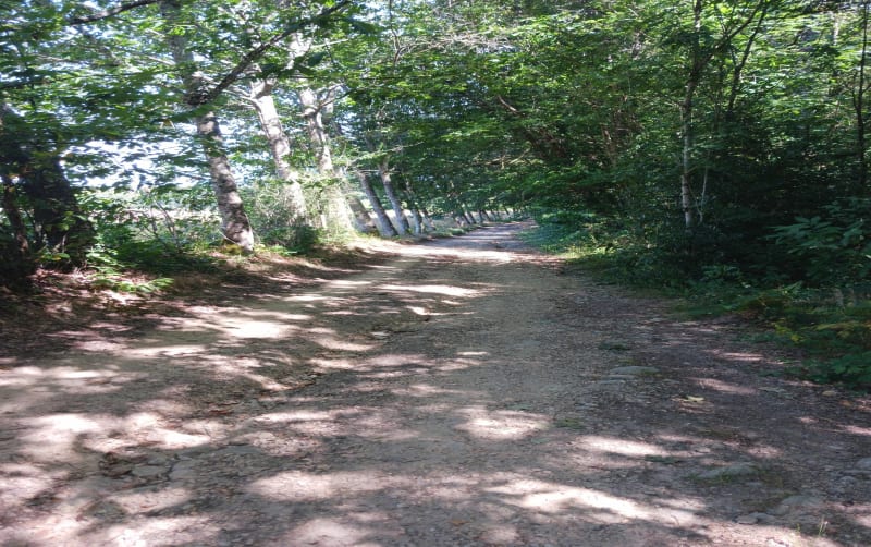 Rando des escargots à Boisseuil - Boisseuil
