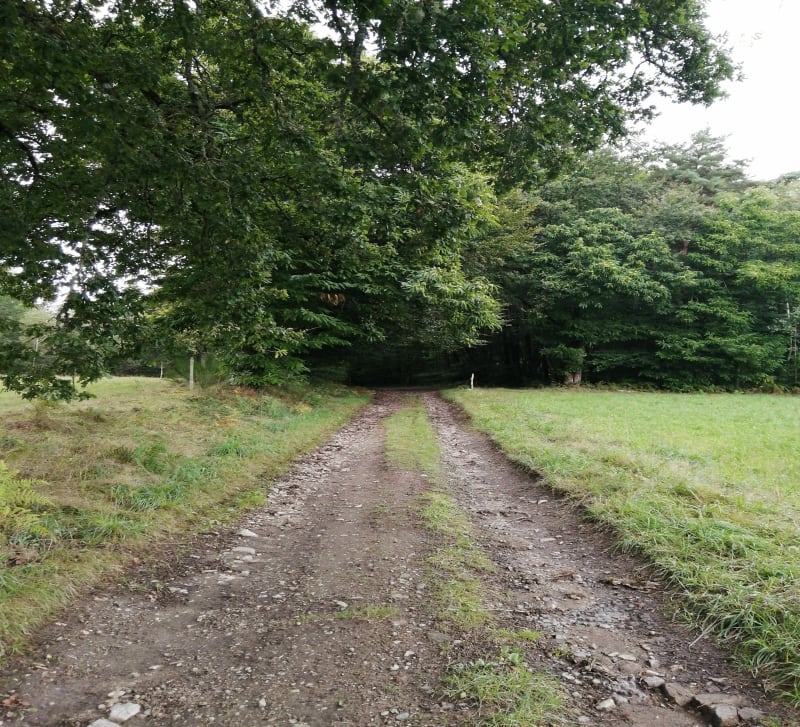 Boucle à la Croix de Sagiran - Saint-Julien-aux-Bois