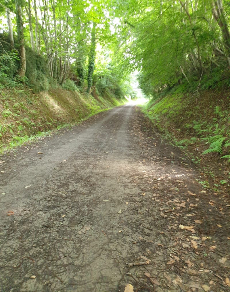 Randonnée Les Lavoirs autour de Parigny - Grandparigny