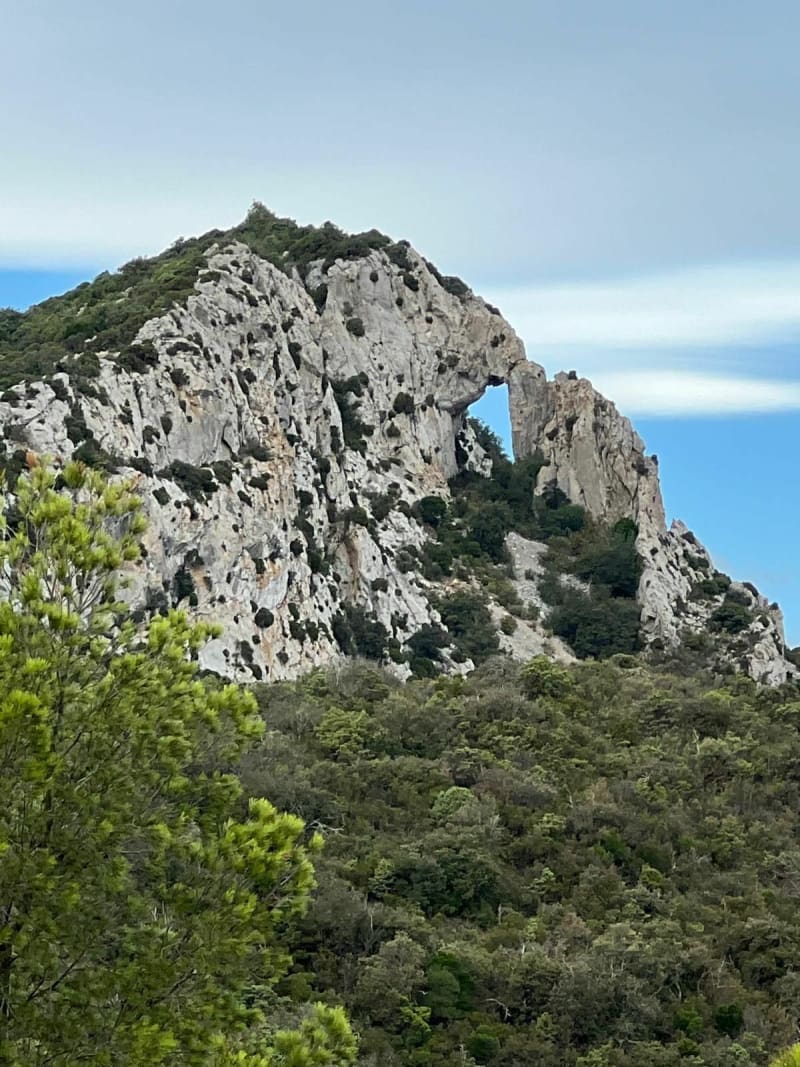 Promenade sympa au Coll de Laben, par Maury - Maury