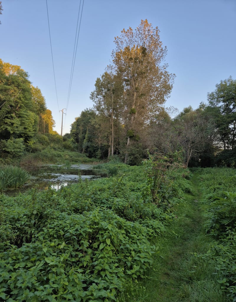 Pringy, autour de la rivière Ecole - Pringy