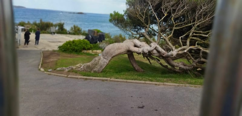 Boucle autour de Saint-Lunaire - Saint-Lunaire