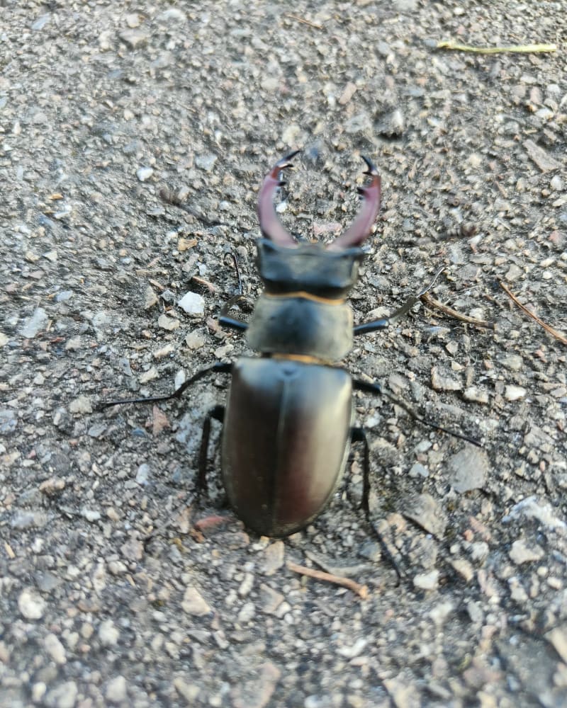 Balade du jour à Rive de Gier - Rive-de-Gier