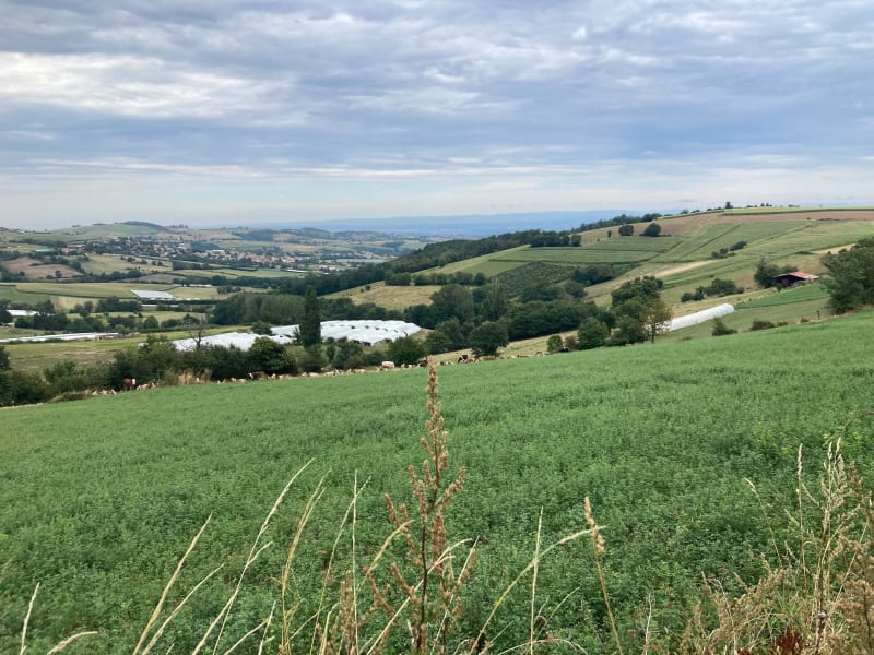 Vers les contreforts des Monts du Lyonnais - Mornant