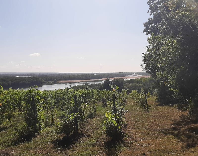 Belle balade autour de Gennes - Gennes-Val-de-Loire
