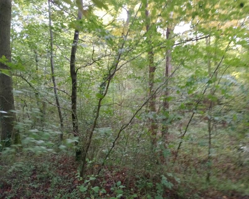Randonnée des Beaux-Monts - Compiègne