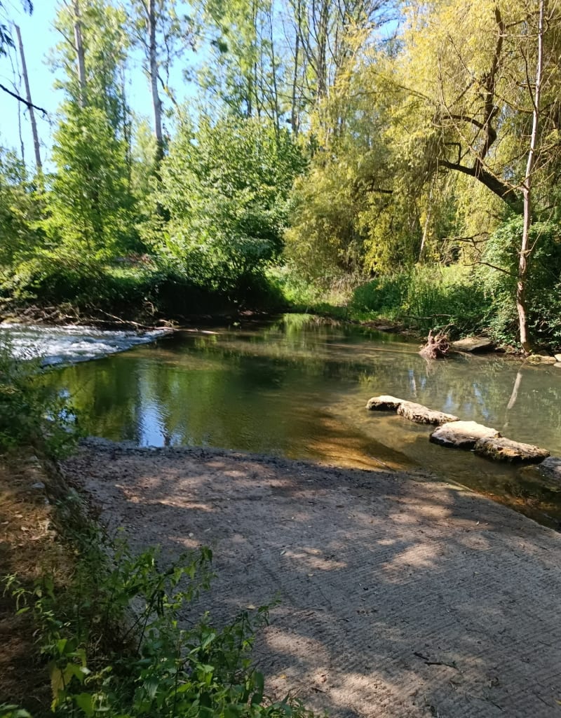 Celle par le gué de Chincé - Celle-Lévescault