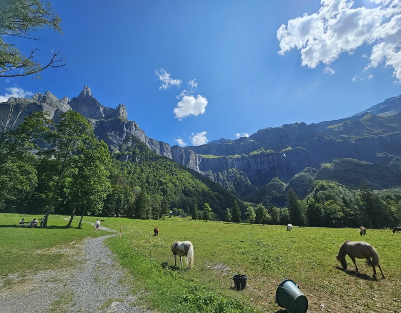 Balade en aller-retour dans le cirque de Sixt-Fer-à-Cheval - Sixt-Fer-à-Cheval