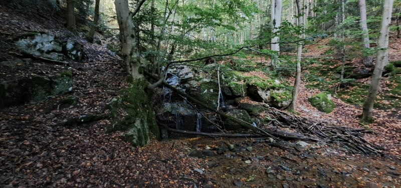 Hauteur de Firminy - Firminy