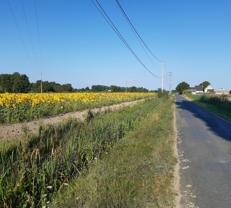 Gennes Val de Loire base de loisirs des Monteaux - Gennes-Val-de-Loire