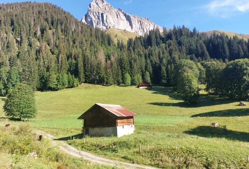 Le tour du Mont Chauffé - La Chapelle-d'Abondance