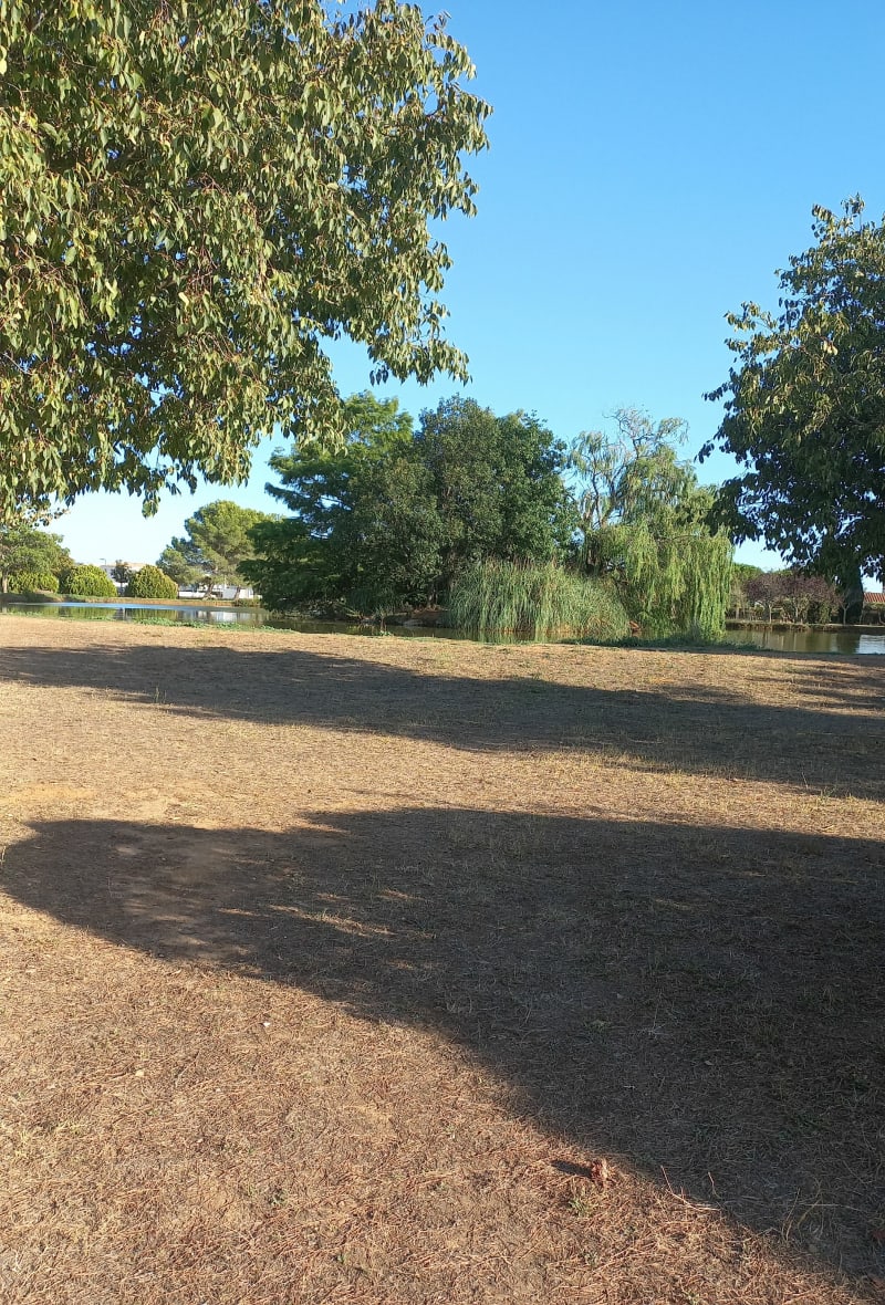 Promenade de santé sur Garons, par les Costières - Garons