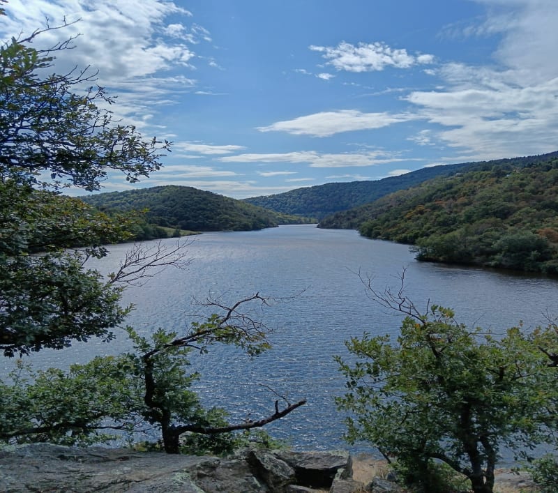 Sur les hauteurs de la Loire, par Boulain - Unieux