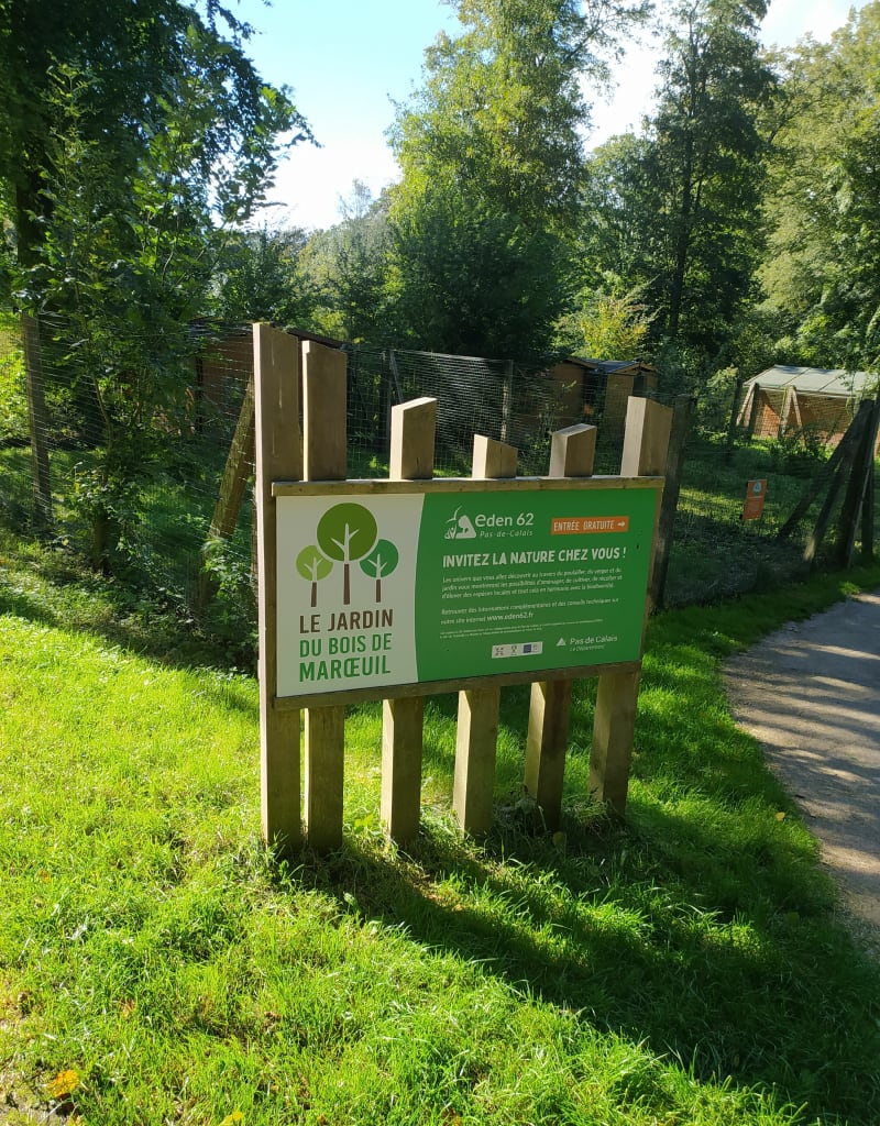 Balade au bois de Marœuil - Marœuil