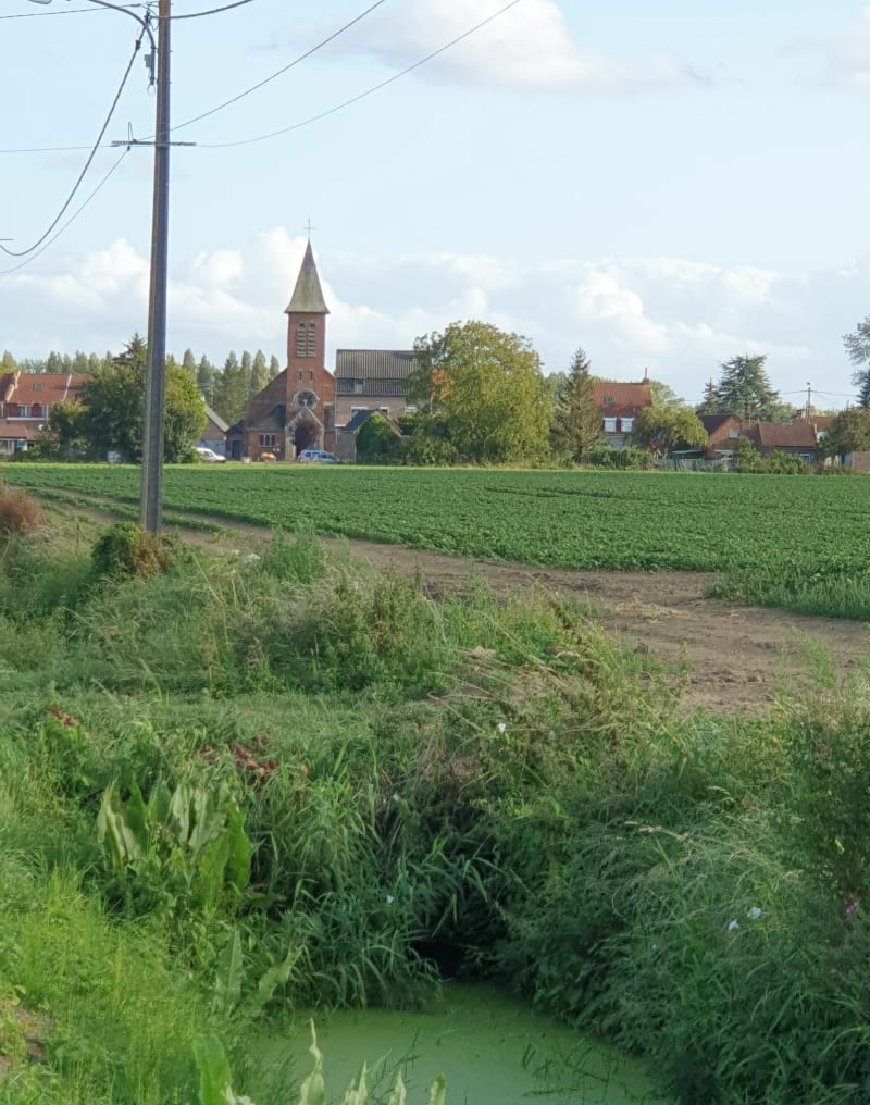 Le sart, Merville - Merville