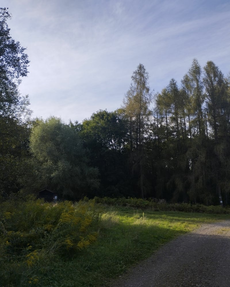 Forêt de Longeville et la Rosselle - Longeville-lès-Saint-Avold