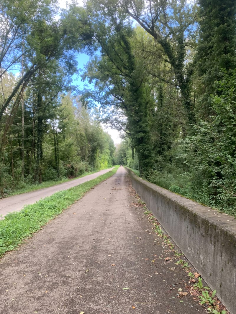 Aller-retour sur les berges de l’Isère - Saint-Ismier