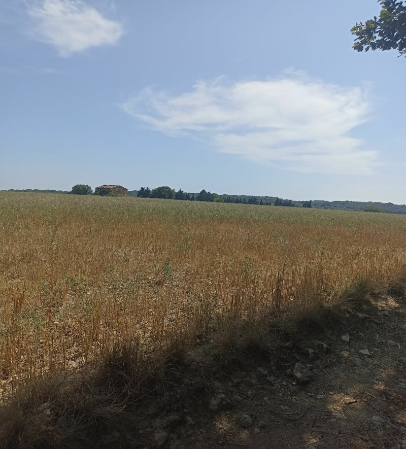 Entre vigne et forêts par l'Aérodrome d'Alès - Méjannes-lès-Alès