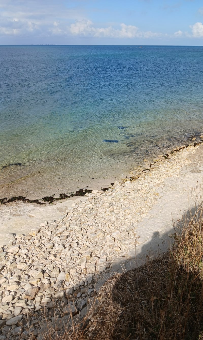 Abbaye des Châteliers et chemin côtier de l'île de Ré - La Flotte