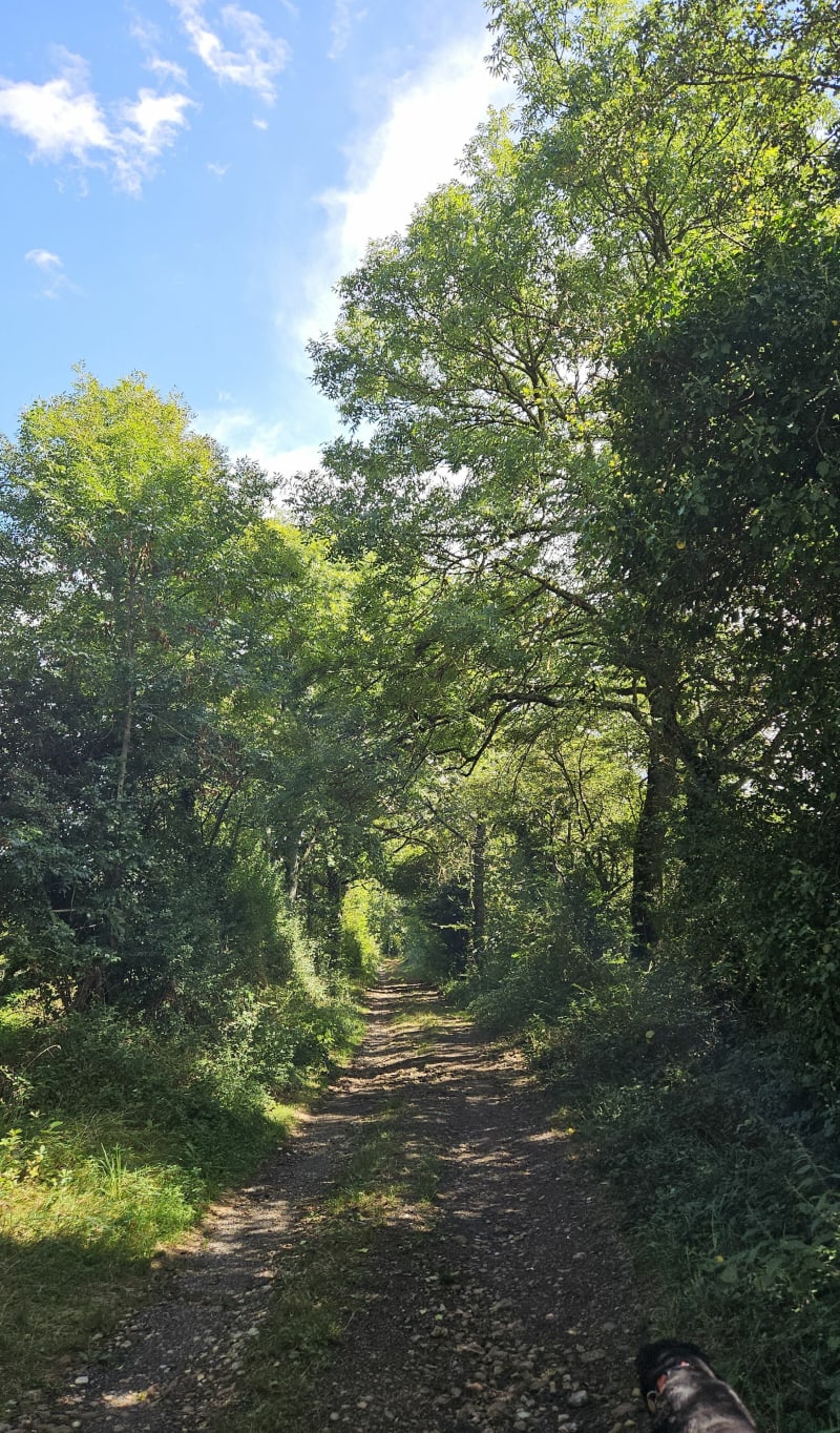 Marche autour de Bagnols - Bagnols