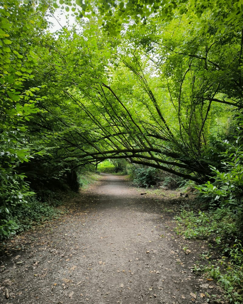 Cap ou pas cap à Sucé-sur-Erdre - Sucé-sur-Erdre