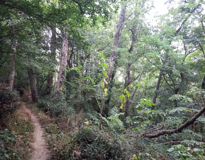 Entre campagne, Parc Rabaudy et ville Castanéenne - Castanet-Tolosan