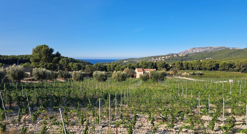 Boucle autour de La Ciotat - La Ciotat