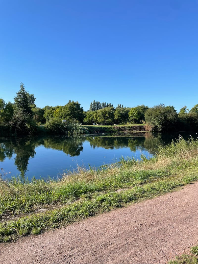 Le long du canal de la Souchez et lac de Loison - Loison-sous-Lens
