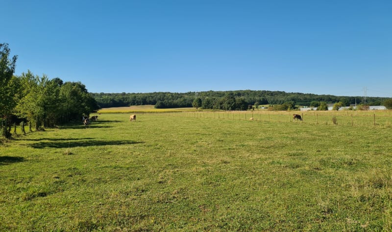 Belle balade dans la nature à Lardy - Lardy