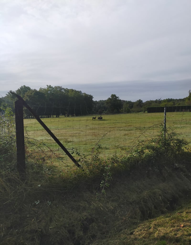 Lacs bleus et verts à Touvérac - Touvérac