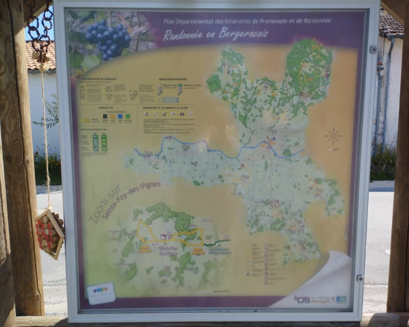 Ste Foy des Vignes - Boucle de Beluzie - Bergerac