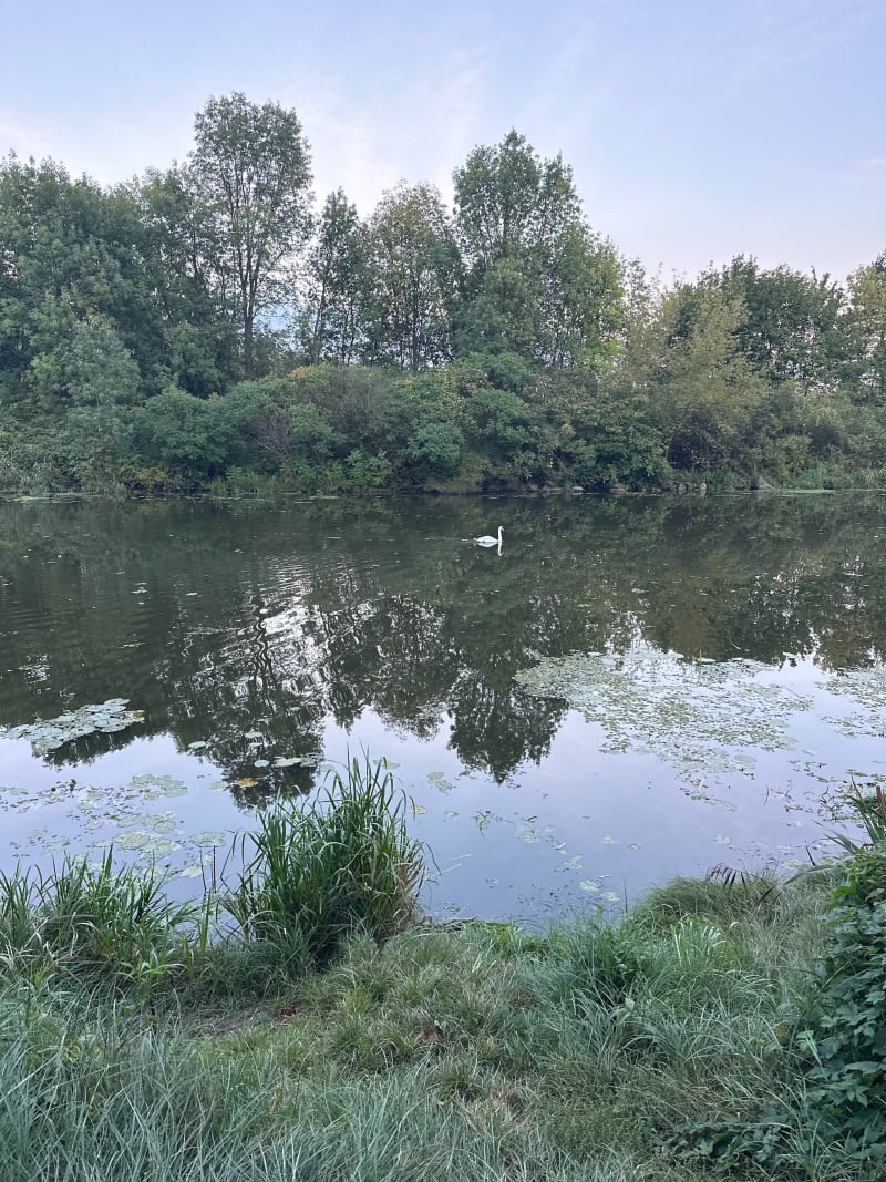 Przechadzka wzdłuż Kanału Żerańskiego - Warszawa