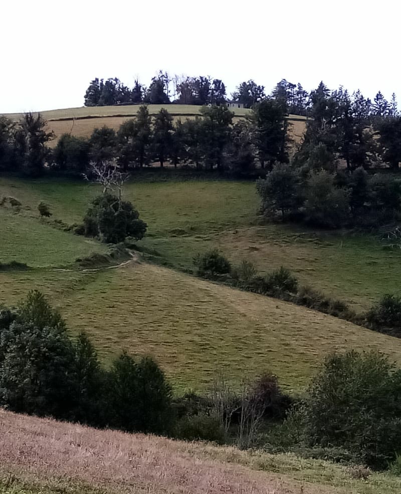 Autour de la Tour-en-Jarez et l'Etrat - La Talaudière