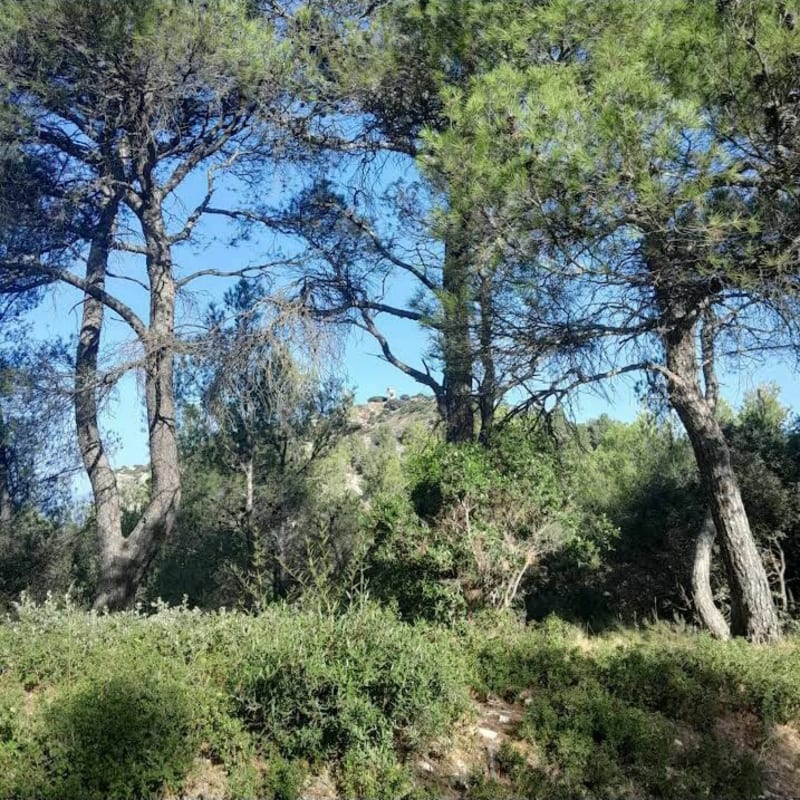 Randonnée à Meyrargues - Meyrargues