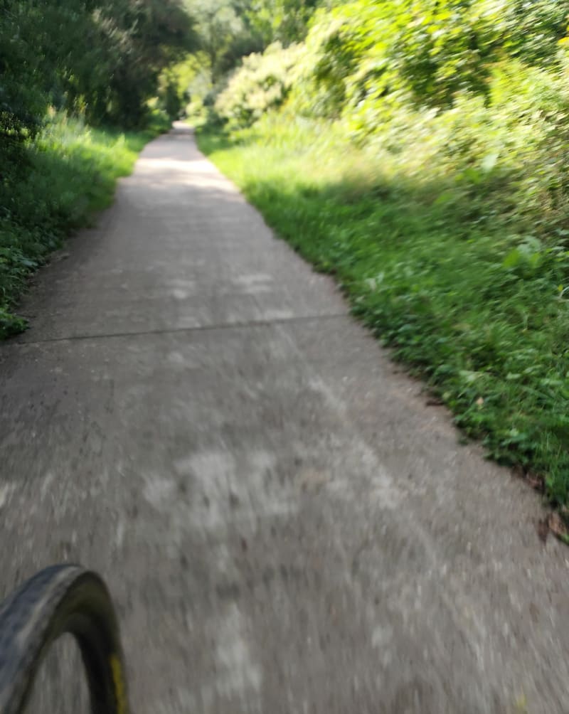 VTT dans les bois depuis Moutiers - Moutiers