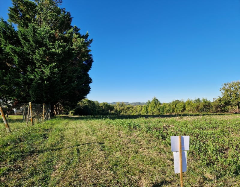 Marche Rando à Guérin par le Bois de Mazère - Guérin
