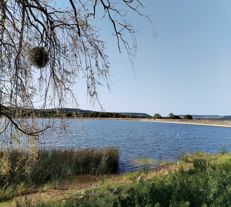 Tour du réservoir de Cercey - Thoisy-le-Désert