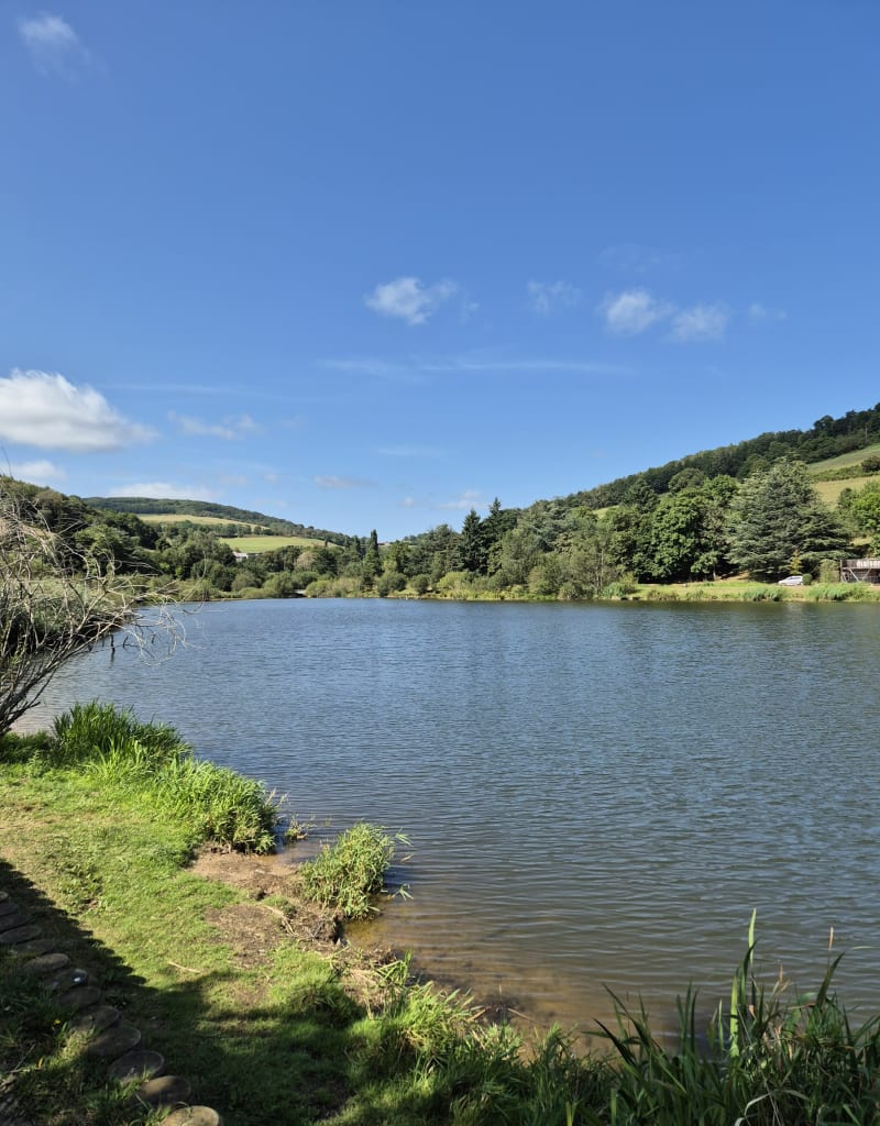 Balade sur les hauteurs d'Yzeron, et lac du Ronzey - Yzeron