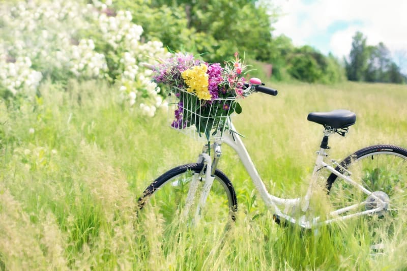 Balade à vélo en direction de Pitgam - Craywick