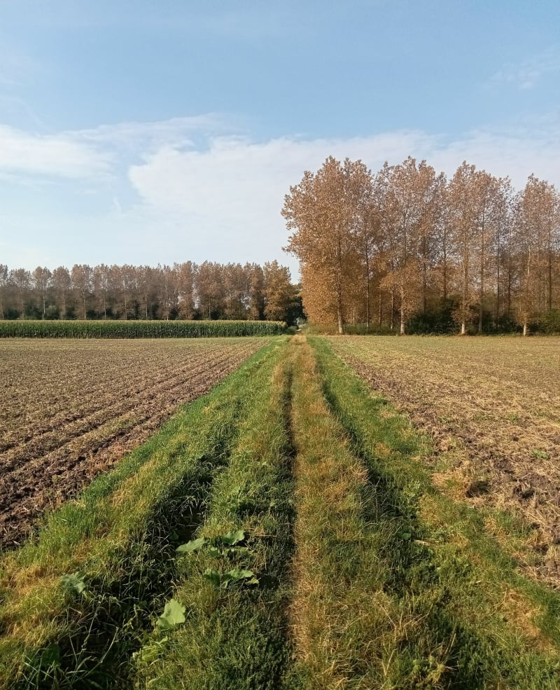 Balade dans la campagne de Vred Flines et Lallaing - Marchiennes