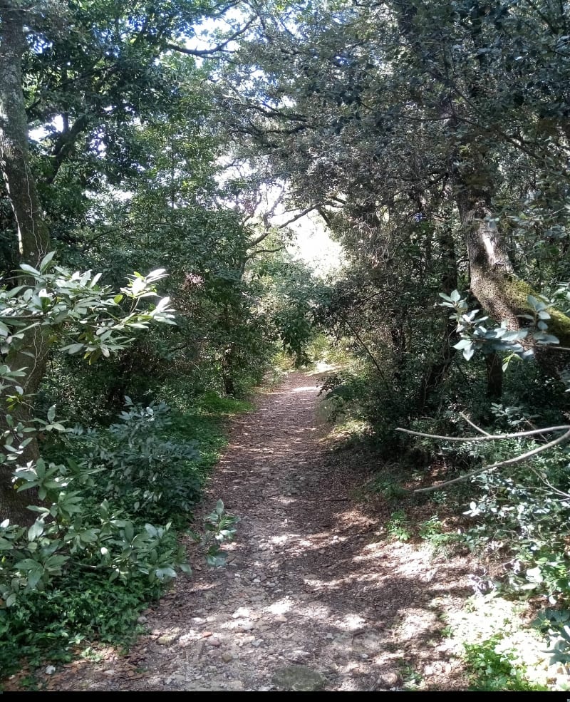 Sentier de la Tour de Farges, et Lunel-Viel - Lunel-Viel