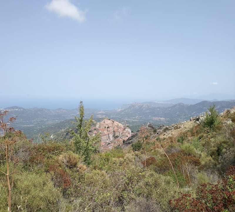 Montée de Speloncato au sommet Tolu - Speloncato