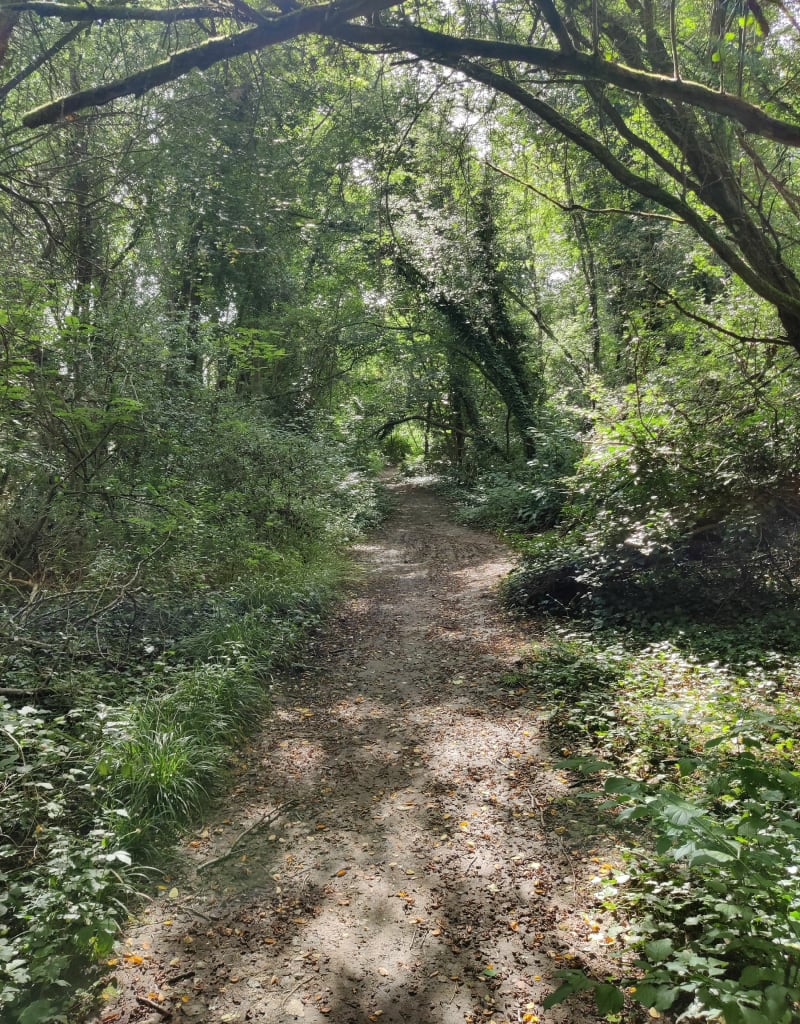 Forêts et étangs de Cesson - Cesson