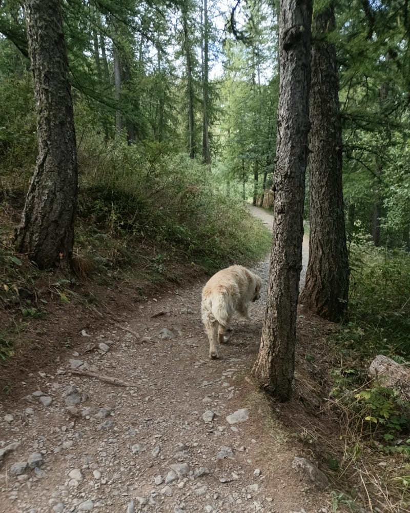 Sentier planétaire à Valberg - Guillaumes