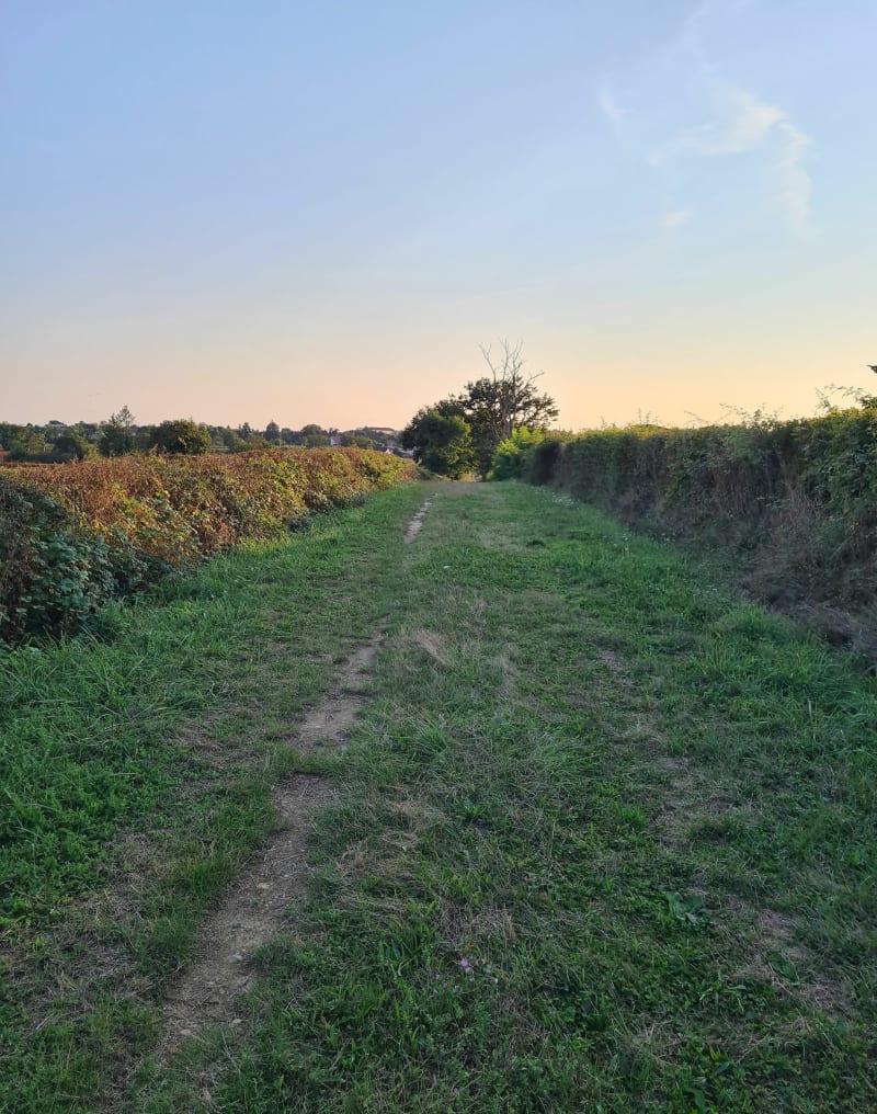 Campagne dompierroise - Dompierre-sur-Besbre