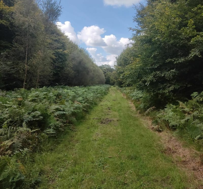 La boucle des Galandeaux - Crécy-en-Ponthieu