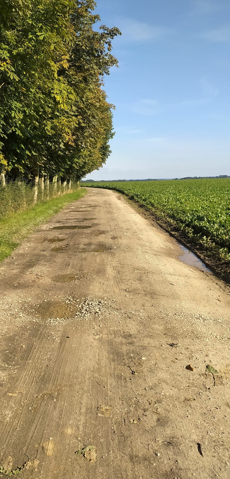 Marche 9km à Vimeu - Nibas